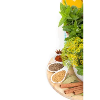 Natural Dry Mint Leaves